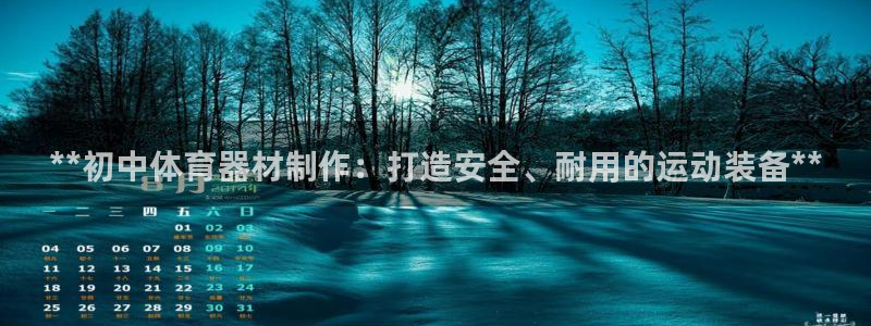 耀世娱乐脚本下载：**初中体育器材制作：打造安全、耐