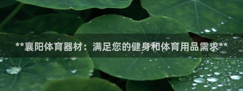 耀世盛典手游
