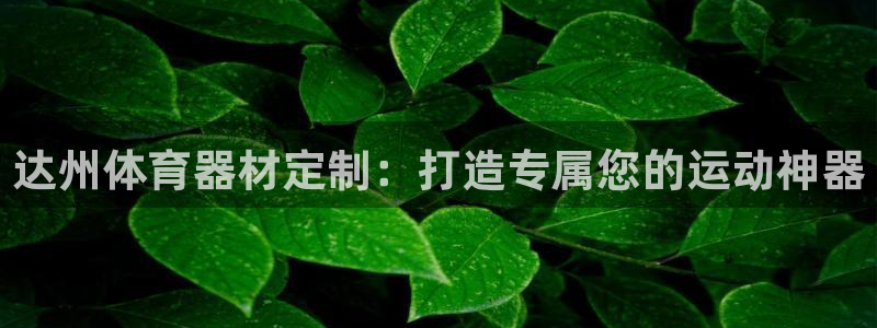耀世娱乐是个什么平台啊：达州体育器材定制：打造专属您