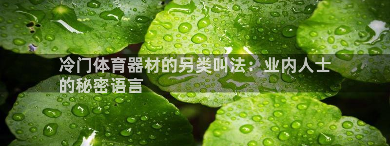 耀世平台乙六七五一38：冷门体育器材的另类叫法：业内