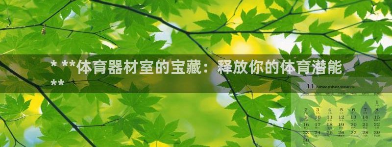 耀世娱乐登陆：* **体育器材室的宝藏：释放你的体育