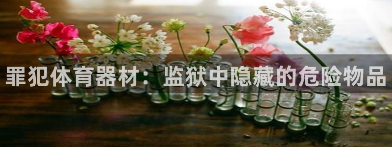 耀世平台官方网站：罪犯体育器材：监狱中隐藏的危险物品