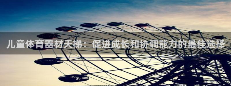 耀世平台梦 5O6917 平台：儿童体育器材天梯：促