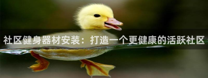 耀世雷霆下载：社区健身器材安装：打造一个更健康的活跃