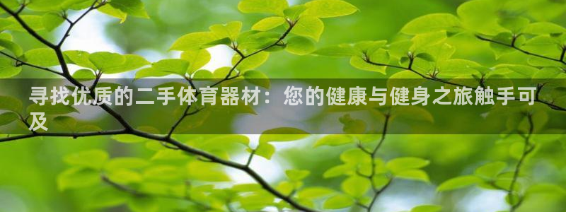 耀世雷霆下载：寻找优质的二手体育器材：您的健康与健身