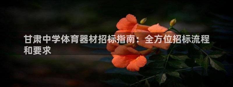 耀世国际平台正规吗可靠吗安全吗：甘肃中学体育器材招标