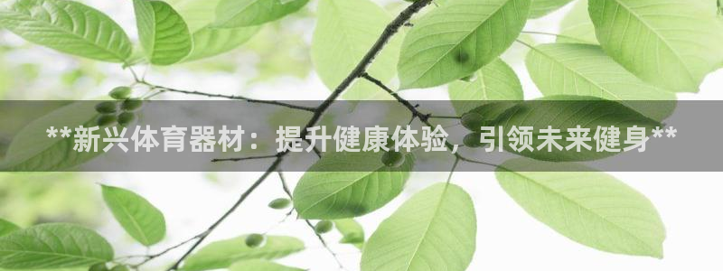 耀世平台人才：**新兴体育器材：提升健康体验，引领未
