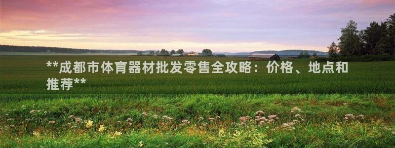 耀世平台皮皮虾：**成都市体育器材批发零售全攻略：价