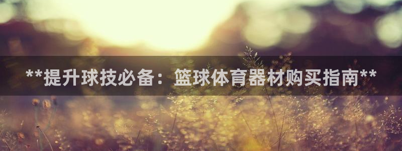 耀世平台代理多少钱一次：**提升球技必备：篮球体育器