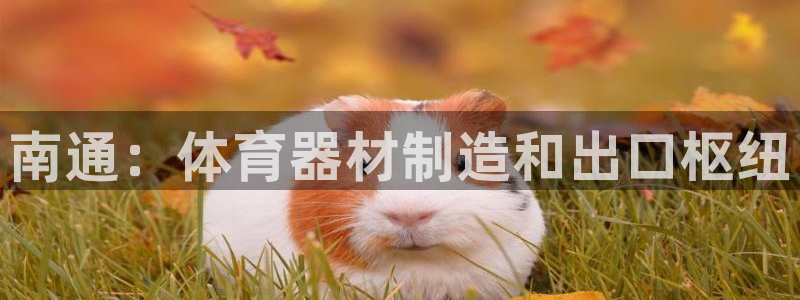 耀世娱乐提款多久到账户