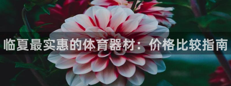 耀世娱乐合法吗
