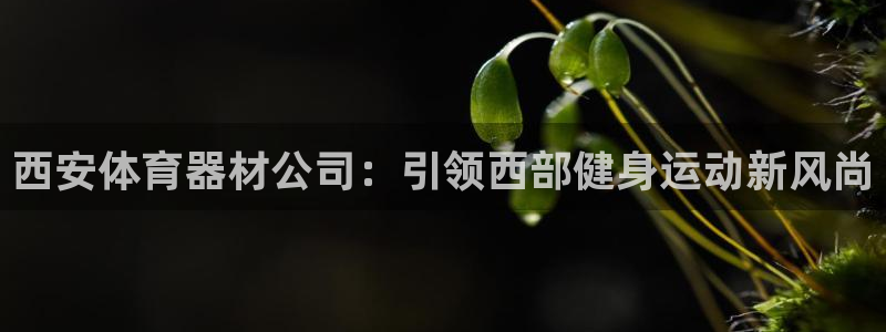 耀世集团是干嘛的企业：西安体育器材公司：引领西部健身