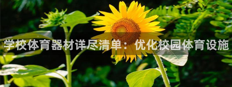 耀世集团董事长抖音名字：学校体育器材详尽清单：优化校
