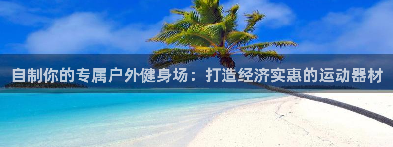 耀世娱乐挂机怎么玩：自制你的专属户外健身场：打造经济