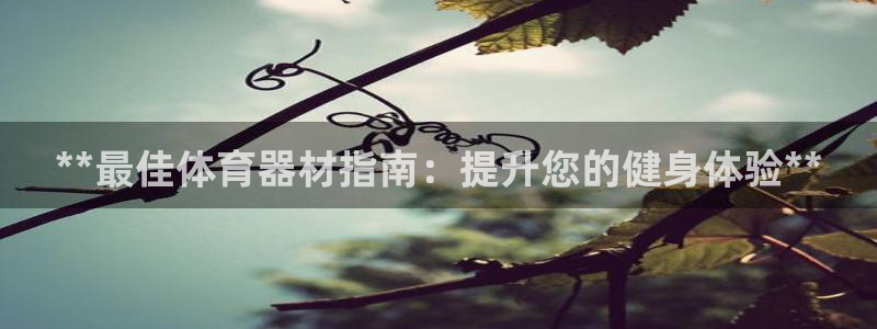 耀世娱乐软件下载官网：**最佳体育器材指南：提升您的