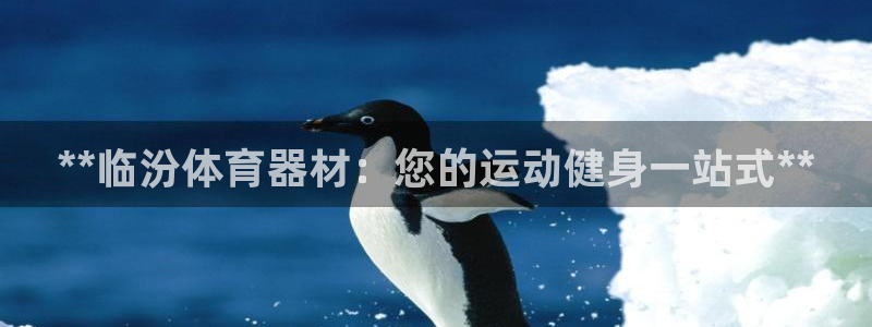 耀世娱乐登陆：**临汾体育器材：您的运动健身一站式**