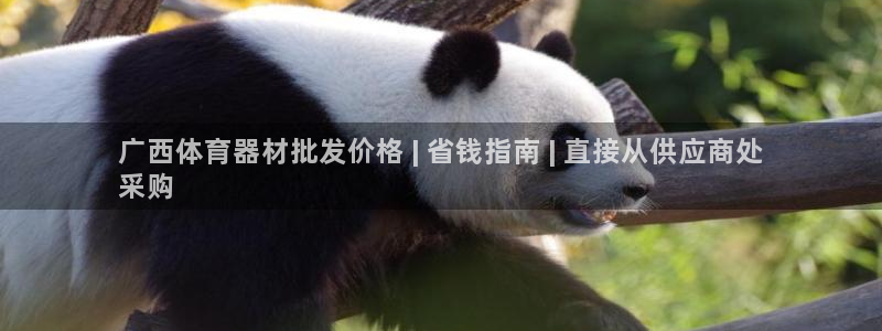 耀世娱乐是不是赚钱