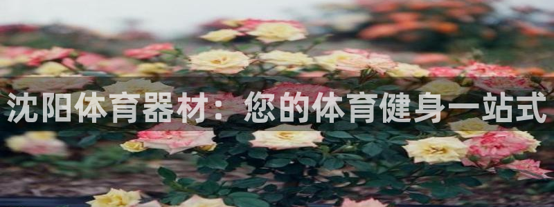 耀世娱乐挂机脚本
