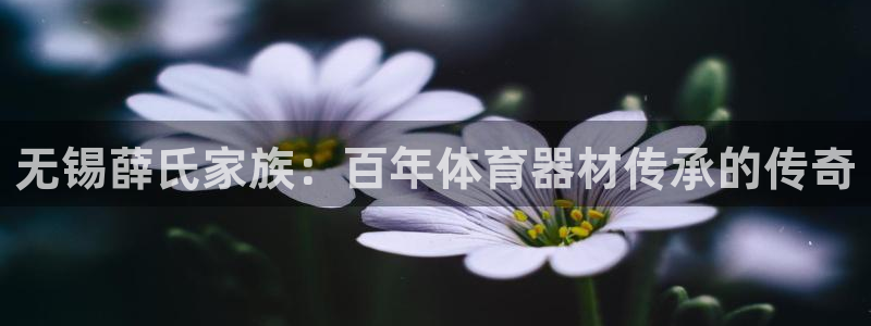 耀世娱乐下载最新版本安装包