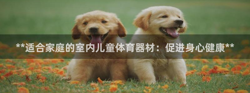 耀世集团董事长个人简历：**适合家庭的室内儿童体育器材：促进