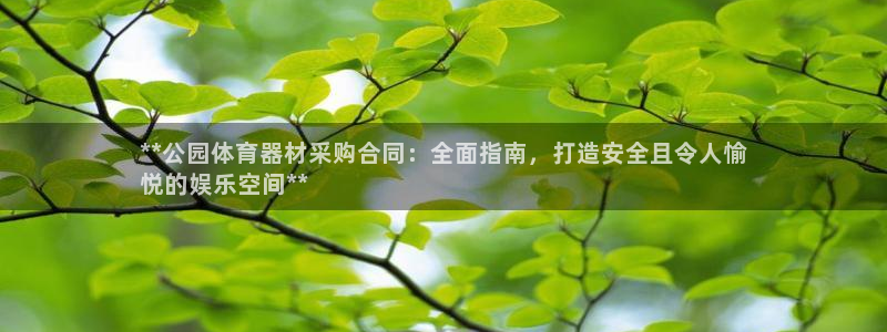 耀世娱乐登陆地址：**公园体育器材采购合同：全面指南，打造安