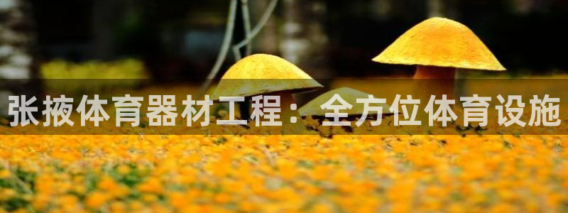 耀世平台注册登录不上怎么办：张掖体育器材工程：全方位体育设施