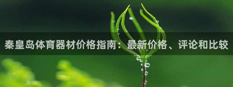耀世娱乐脚本不死挂机能玩吗：秦皇岛体育器材价格指南：最新价格