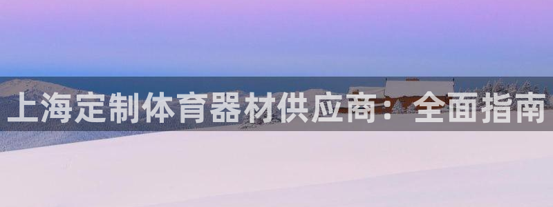 耀世娱乐挂机脚本怎么用：上海定制体育器材供应商：全面