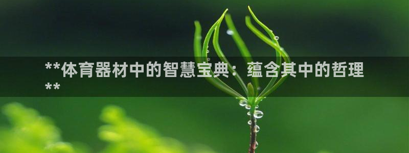 耀世集团商业联盟：**体育器材中的智慧宝典：蕴含其中