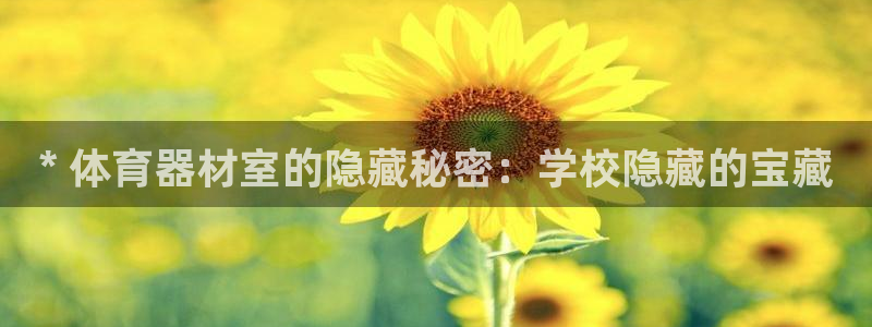 耀世盛典下载：* 体育器材室的隐藏秘密：学校隐藏的宝
