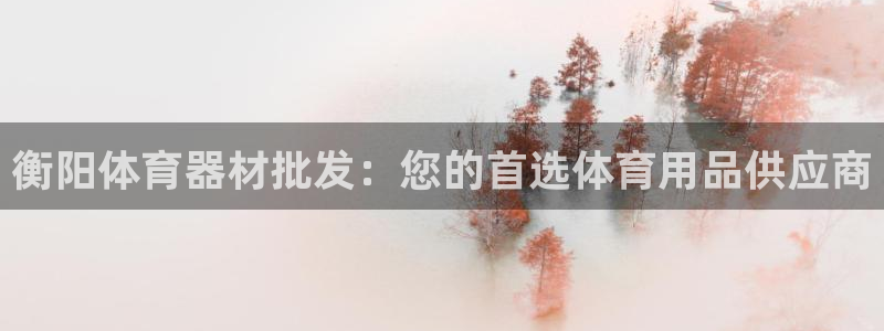 耀世集团董事长耀阳：衡阳体育器材批发：您的首选体育用