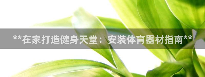 耀世娱乐脚本下载官网：**在家打造健身天堂：安装体育