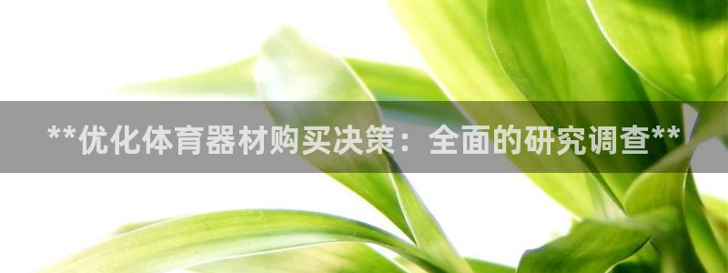耀世微光曲谱：**优化体育器材购买决策：全面的研究调
