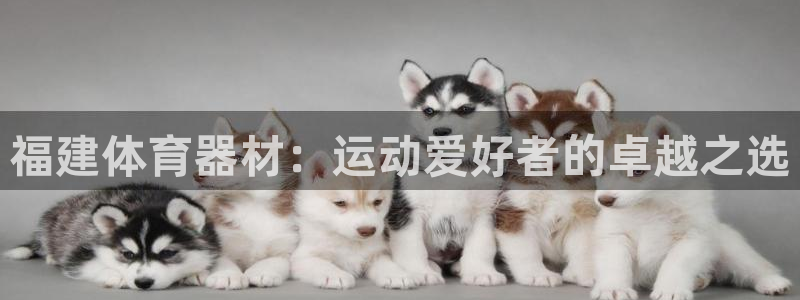 耀世娱乐平台官网登录入口下载：福建体育器材：运动爱好