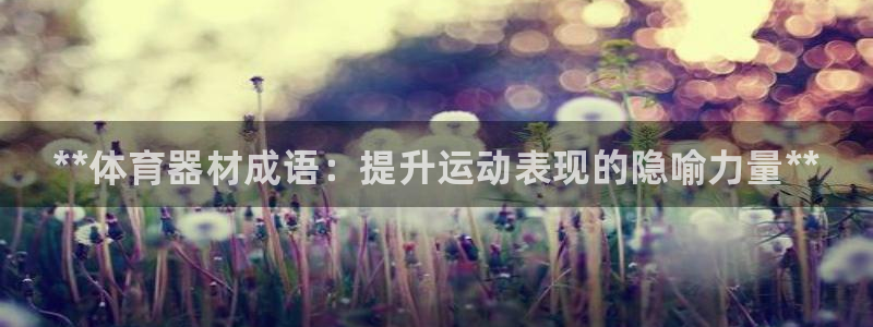 耀世娱乐下载最新版本安装：**体育器材成语：提升运动表现的隐