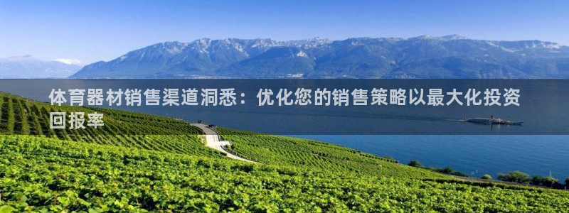 耀世幻主：体育器材销售渠道洞悉：优化您的销售策略以最