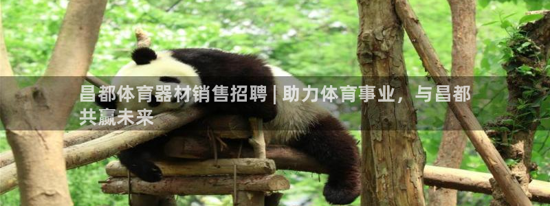 耀世平台注册链接怎么打开：昌都体育器材销售招聘 | 助力体育
