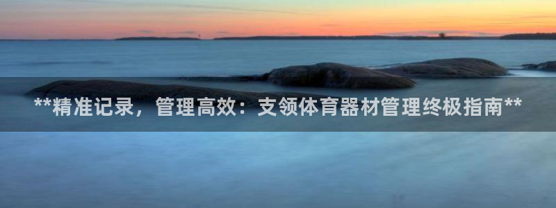 耀世平台最新注册地址在哪看：**精准记录，管理高效：支领体育