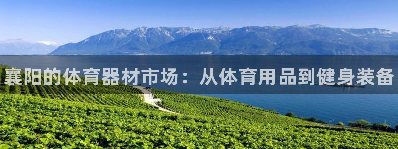 耀世娱乐挂机：襄阳的体育器材市场：从体育用品到健身装