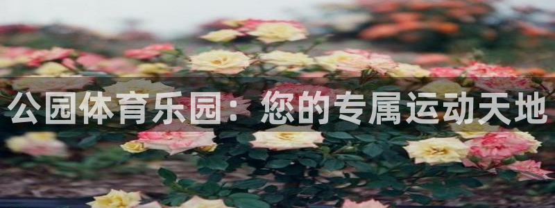 耀世娱乐总代理是谁