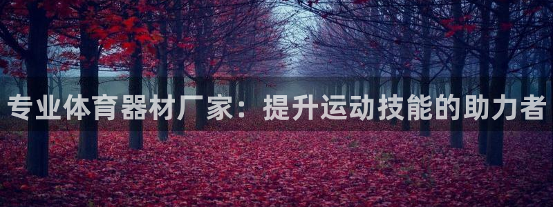 耀世平台的运营模式：专业体育器材厂家：提升运动技能的