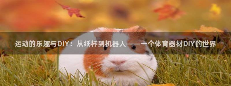 耀世平台代理怎么样啊