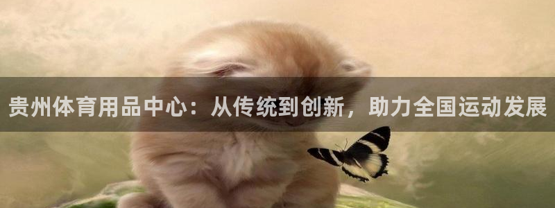 耀世平台代理怎么做：贵州体育用品中心：从传统到创新，