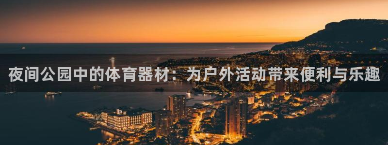 耀世娱乐平台官网登录不了了：夜间公园中的体育器材：为