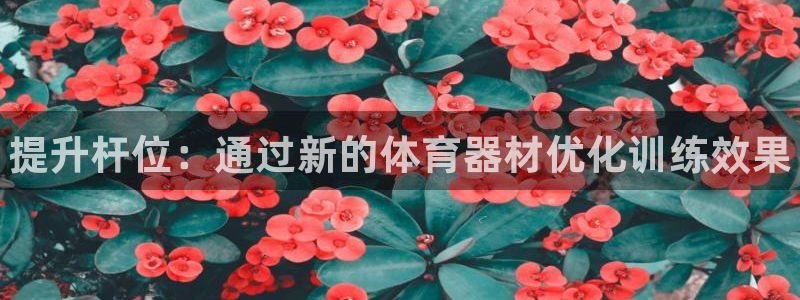 耀世娱乐能不能提现到支付宝：提升杆位：通过新的体育器