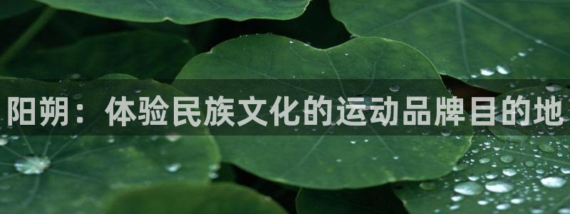 耀世娱乐中国创新：阳朔：体验民族文化的运动品牌目的地