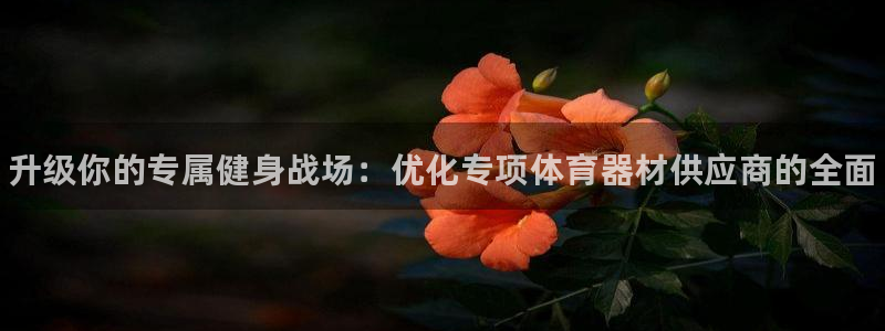 耀世登场后面一句