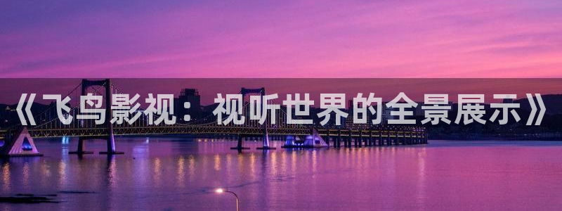 韩国电影天狼电影院：《飞鸟影视：视听世界的全景展示》