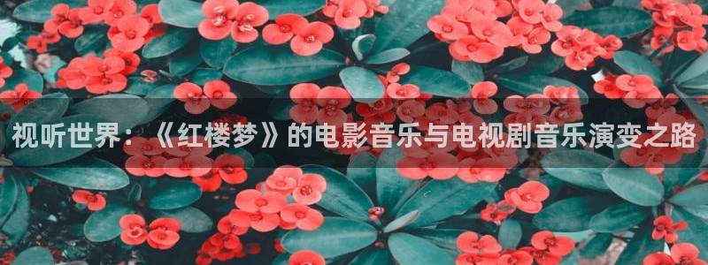 天狼影院2025最新电视剧在线看视频：视听世界：《红楼梦》的电影音乐与电视剧音乐演变之路