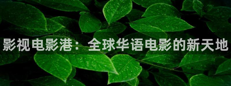 天狼影视网：影视电影港：全球华语电影的新天地
